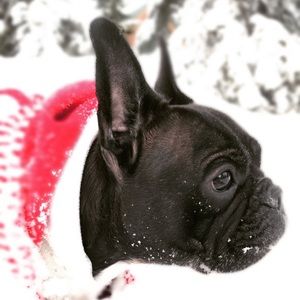 Meet your Posher, Elle